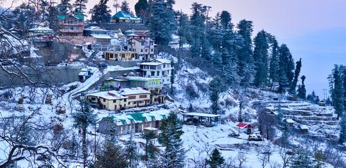 MANALI,KASOL & SHIMLA TRIP